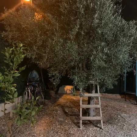 L'olivier De Manel Bed & Breakfast