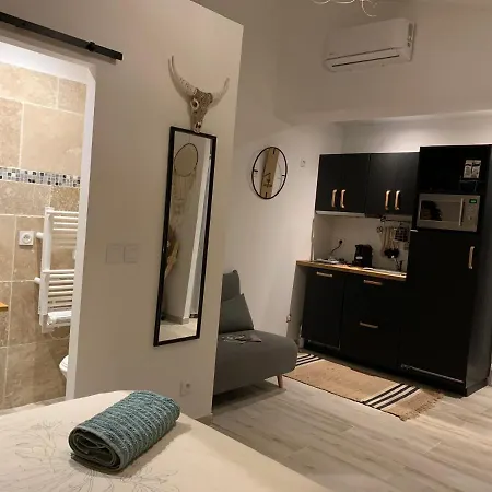 L'olivier De Manel Bed & Breakfast Aigues-Mortes