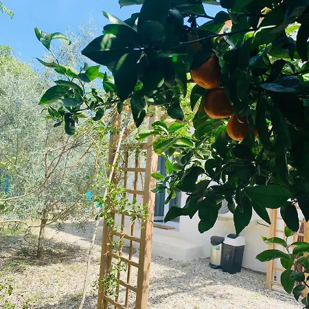 L'olivier De Manel Bed & Breakfast Aigues-Mortes