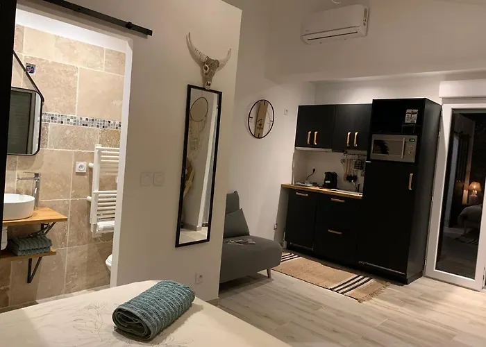 L'olivier De Manel Bed & Breakfast Aigues-Mortes